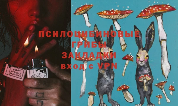 СК Новокубанск