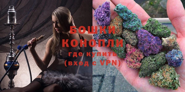 каннабис Новозыбков